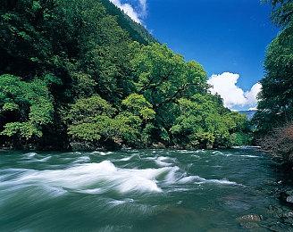 Switch Online会员经典游戏库将添加《班卓熊大冒险2》 10月25日上线